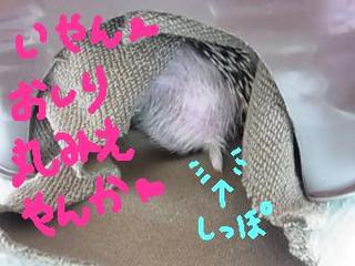 hiku-16.jpg