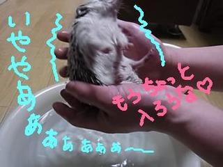 hiku-27.jpg
