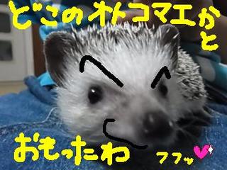 hiku-60.jpg