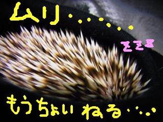 hiku-71.jpg