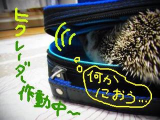 hiku-73.jpg