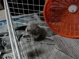 image-20130330214510.png