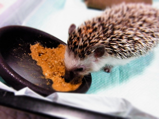 image-20130330214645.png