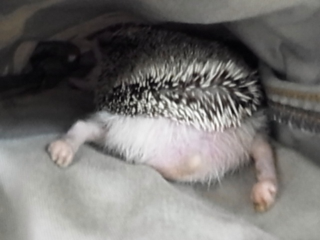 image-20130330214820.png
